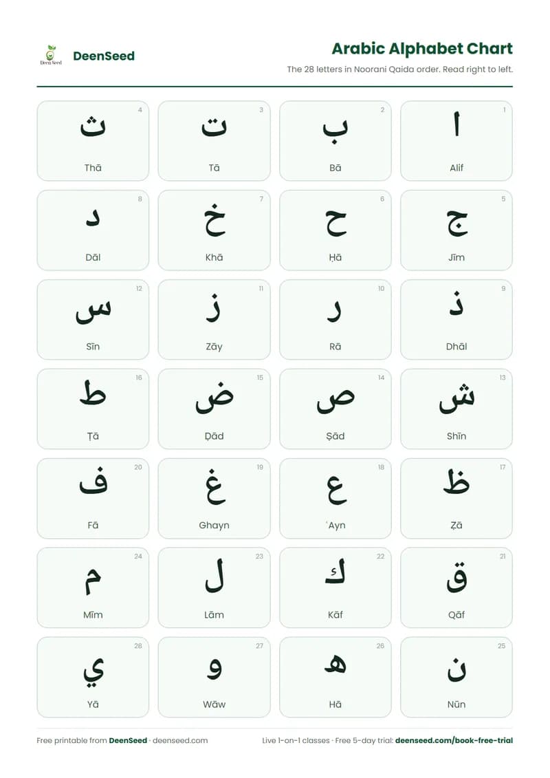 Preview of the Arabic Alphabet Chart