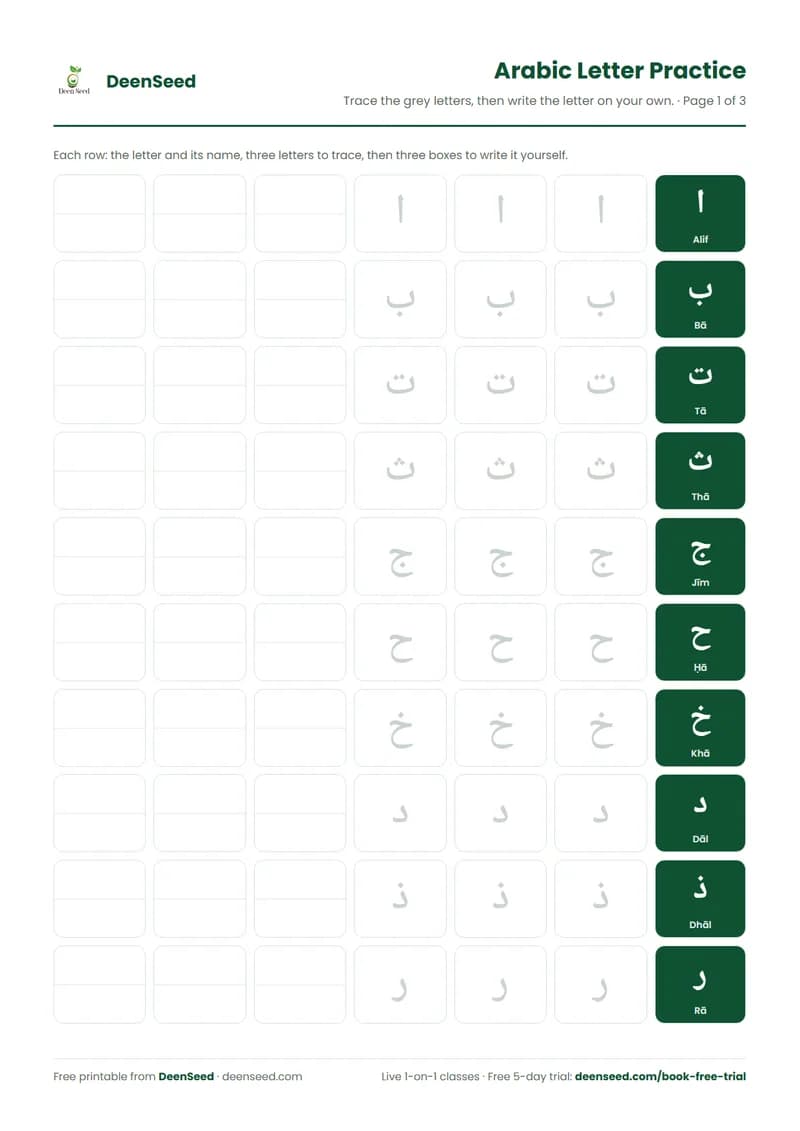 Preview of the Arabic Letter Tracing Worksheet