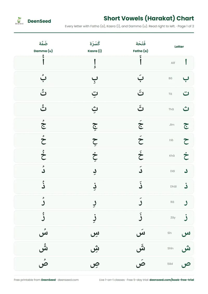 Preview of the Short Vowels (Harakat) Chart
